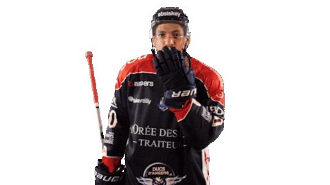 Celebration Kiss Sticker by Les Ducs d'Angers