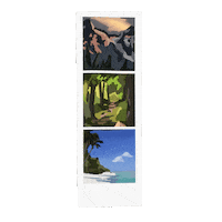 tiresome travel photo polaroid scenery Sticker