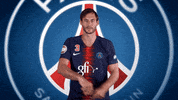 happy nikola karabatic GIF by Paris Saint-Germain Handball