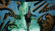 Volleyball Bison GIF by NDSU Athletics