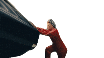 Dave Meyers Sticker by P!NK