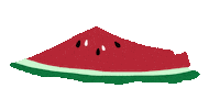 Watermelon Palestine Sticker by Littlecece
