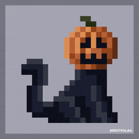 Cat Lol GIF