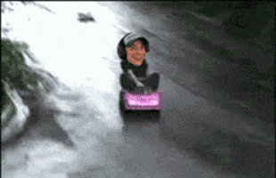 mysense123 giphyupload funny gif crashing mysense GIF
