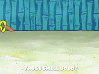 season 8 episode 22 GIF by SpongeBob SquarePants