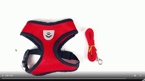 Glennyjarmin82 giphygifmaker GIF