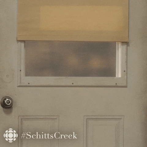 Didnt See Me Schitts Creek GIF by CBC