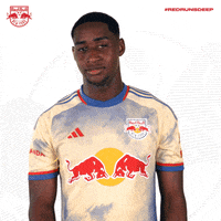 Well Done Applause GIF by New York Red Bulls