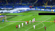 assist champions league GIF by nss sports