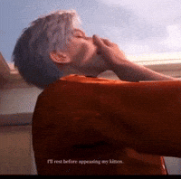 Sleepy Cat GIF