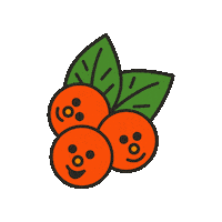 maevechocolate fruit berries maeve cranberry Sticker
