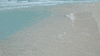 beach GIF