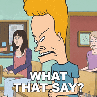 What That Say Beavis And Butthead GIF by Paramount+