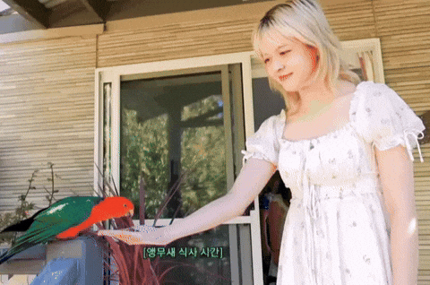 Australia Lily GIF
