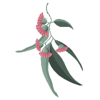 Flowers Australia Sticker