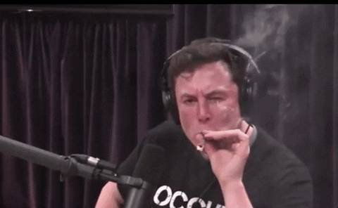 kieutruongphoto giphyupload elon musk GIF