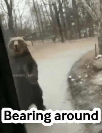 alien_meme giphygifmaker meme giphycreatortest animal GIF