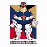 Florida Panthers Nhl GIF by Doge Pound