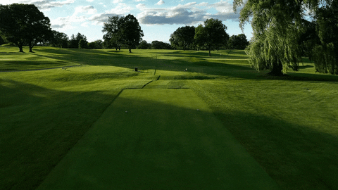 stephen_hennessey12 giphyupload GIF