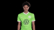 Celebration Reaction GIF by VfL Wolfsburg