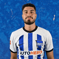 Bundesliga Ball GIF by Hertha BSC