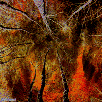 dark distort GIF by Psyklon