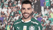 Palmeiras cool nice beleza legal GIF