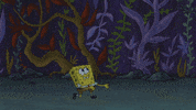 GIF by SpongeBob SquarePants