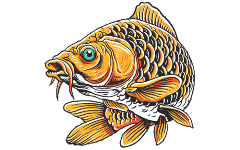 Fly Carp Sticker