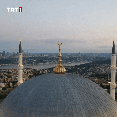 Night Drone GIF by TRT