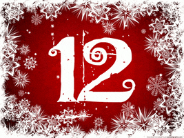 12 days until christmas GIF by Warwick Congress