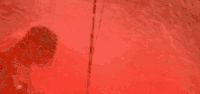 The Pretender GIF by Foo Fighters