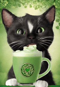 Cute Cat Love GIF by Felini Rocks