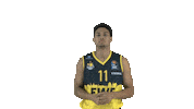 Ewe Baskets Basketball Sticker by EWE Baskets Oldenburg