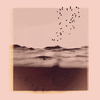 TheWanderingHearts  GIF