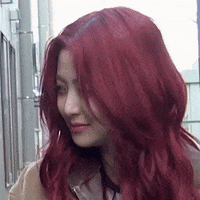 K Pop Laugh GIF