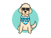 Odie Sticker