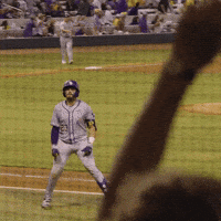 College Sports Baseball GIF by LSU Tigers