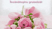 Romania Virus GIF by echilibrultau