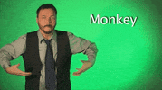 sign language monkey GIF by Sign with Robert