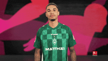 Werder Bremen Love GIF by Bundesliga