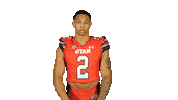 Utah Utes Sticker by Utah Football