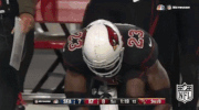 Arizona Cardinals Football GIF by NFL