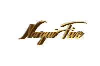 narguifivedubai  Sticker