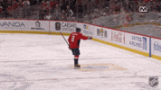 Happy Washington Capitals GIF by NHL