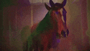 horse tripping hors avey tare farmwave GIF