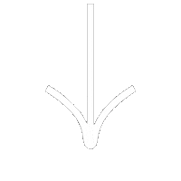 Animation Arrow Sticker by WPWA