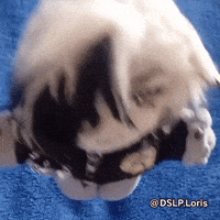 Hsr GIF