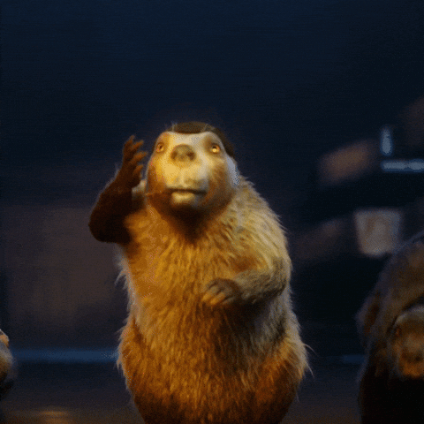 YellaWood shocked surprised diy wood GIF
