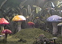 Good Days GIF by SZA